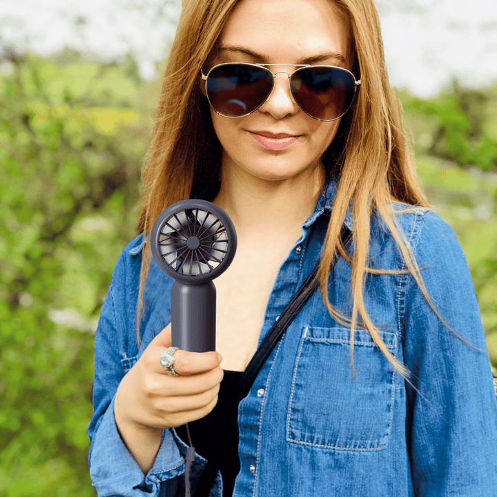 Akku - Handventilator LACERTI