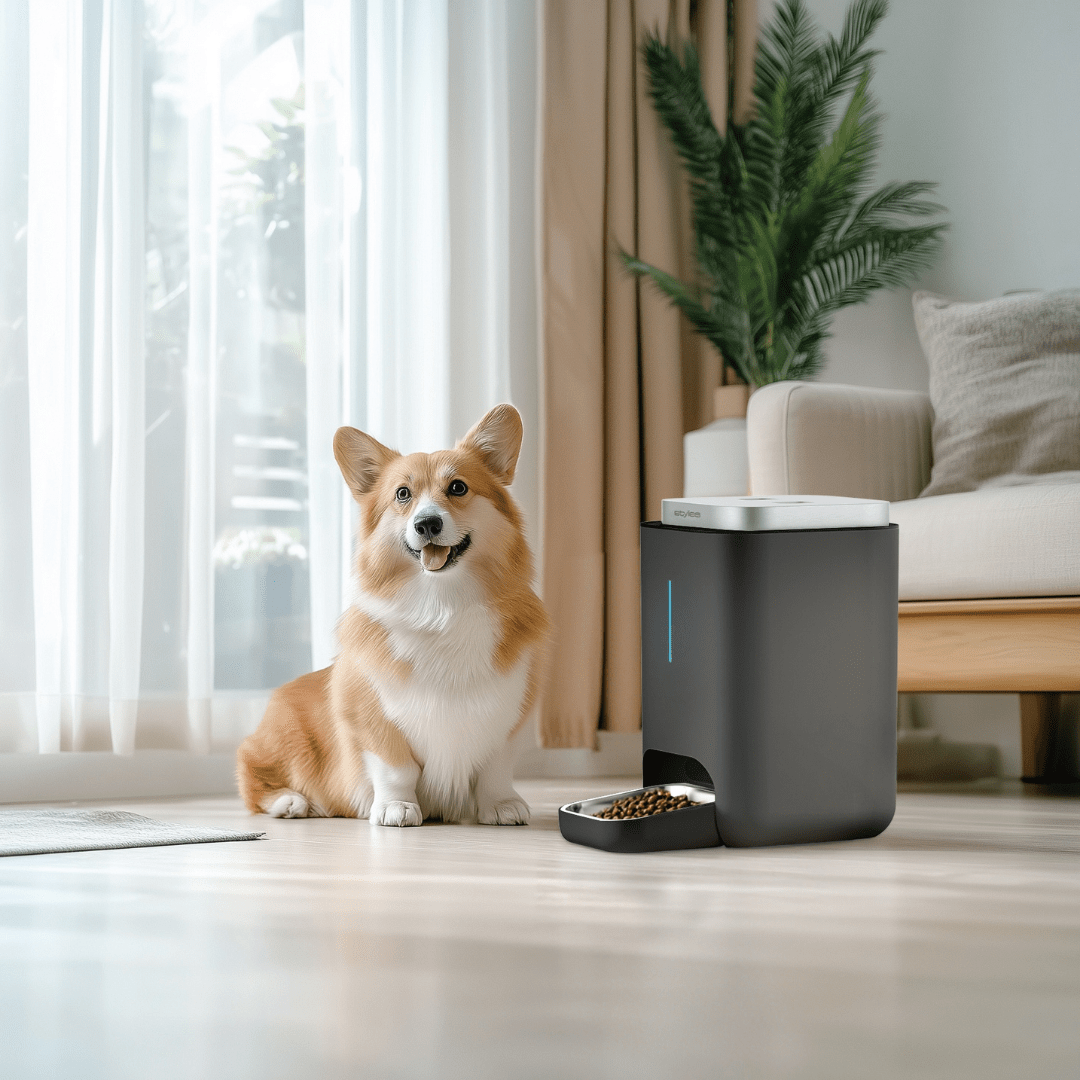 Cibus Futterautomat by Swiss-stylies Pet-Line