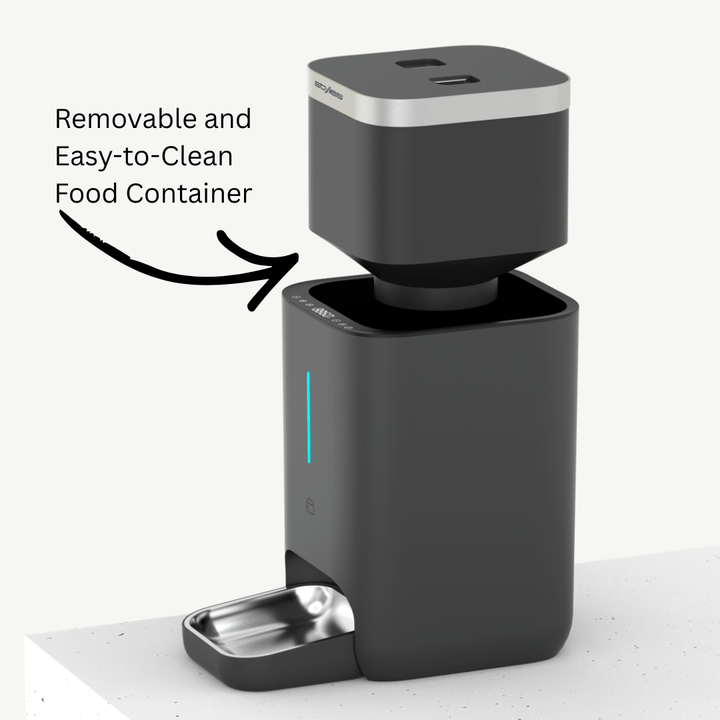 Cibus Futterautomat by Swiss-stylies Pet-Line