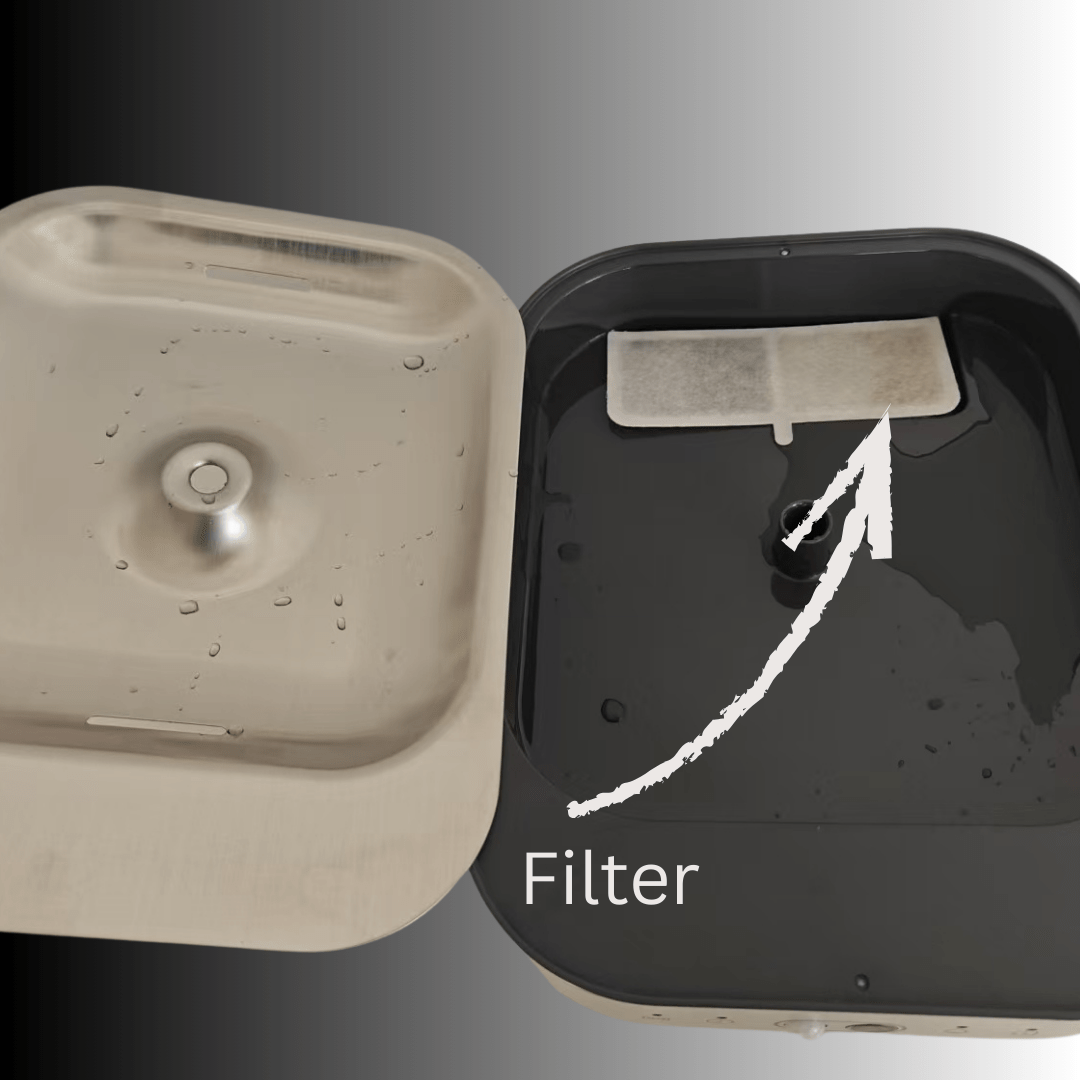 Fontanus Trinkbrunnen