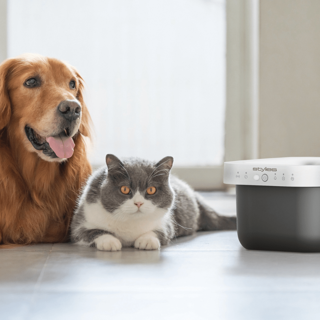 Fontanus Trinkbrunnen