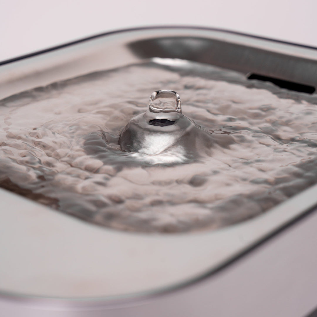 Fontanus Trinkbrunnen