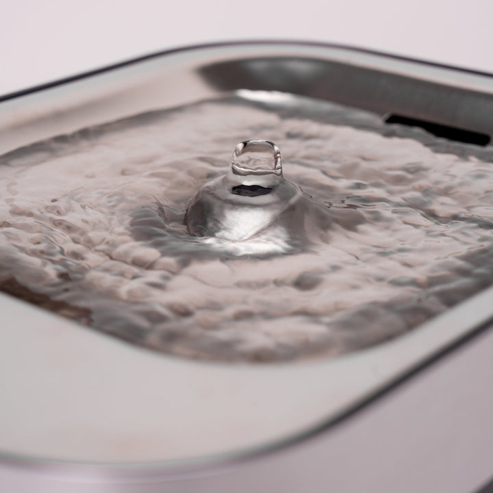 Fontanus Trinkbrunnen